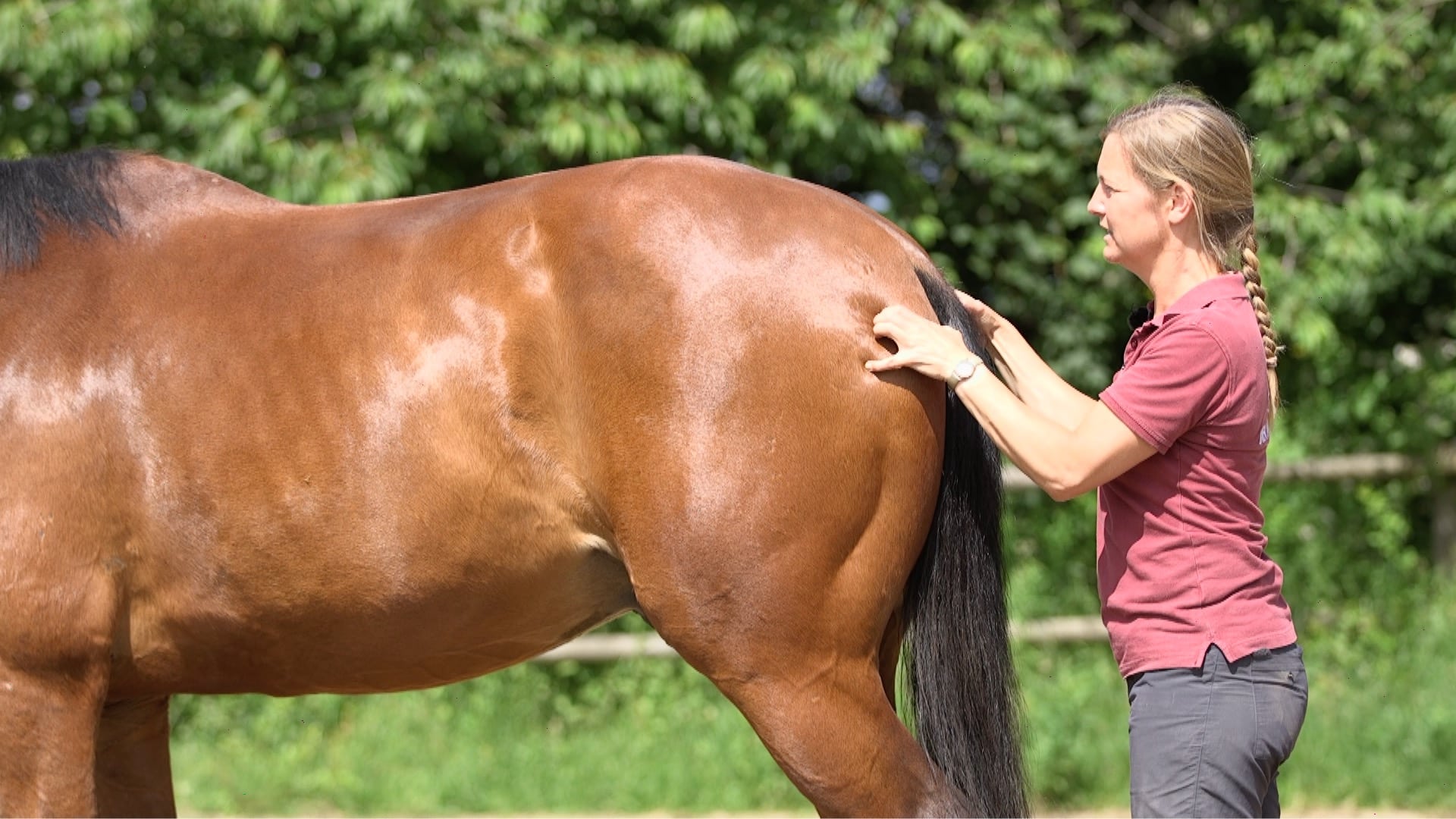 Flex Riding The flexible horse - collection part I - Ride Better TV