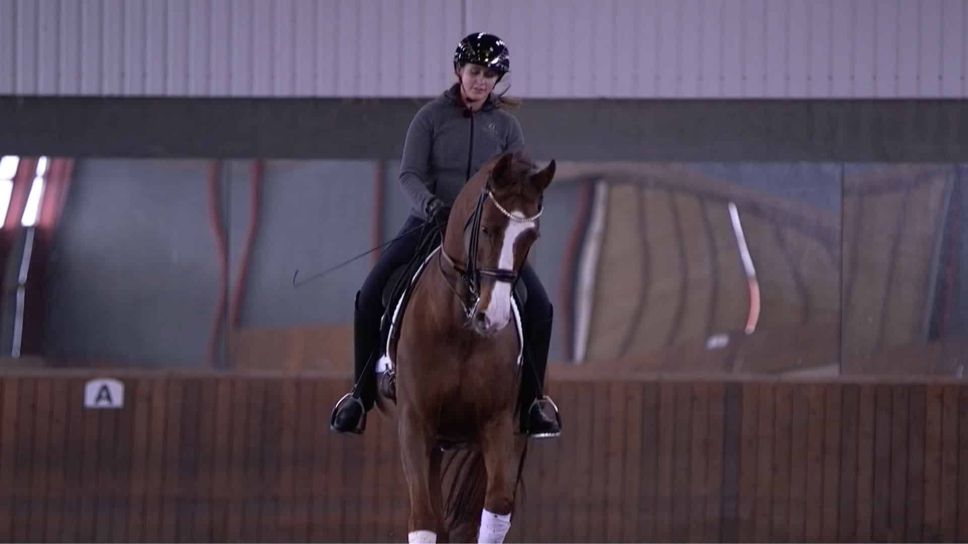 Collect the best marks at shows - position of the rider - Ride Better TV